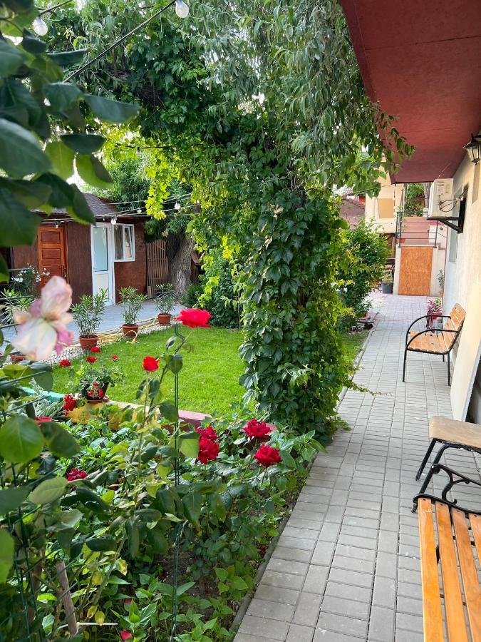 Vila Iris Mamaia Nord Năvodari Extérieur photo